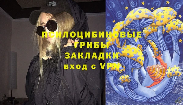 mdma Богородицк